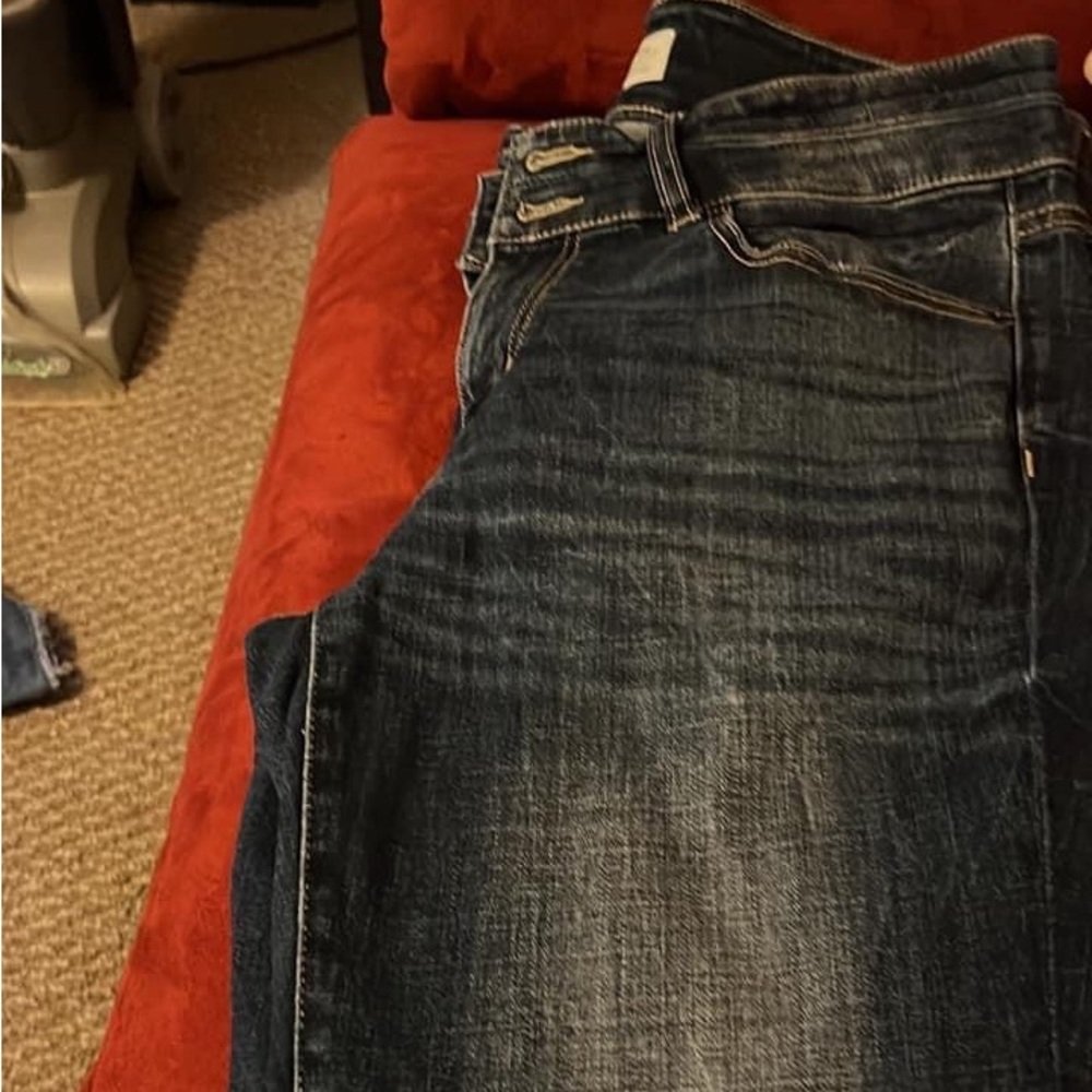 BKE Womens Payton Jeans